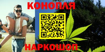Альфа ПВП Ливны