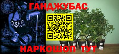 мяу мяу мука Малгобек