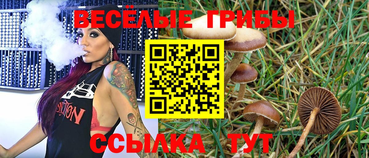 Псилоцибиновые грибы Cubensis  хочу   Псилоцибиновые грибы GOLDEN TEACHER  Дзержинск  Вход с VPN 